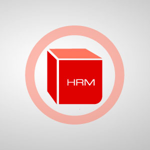Sistema de Gestión de los Recursos Humanos - HRM